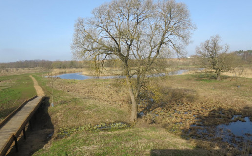 35_Nevėžio upės slėnio pažintinis takas_3 (1).jpg